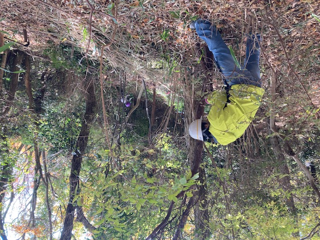 �����̗l�q(�ʐ^)