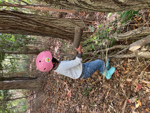 �����̗l�q(�ʐ^)