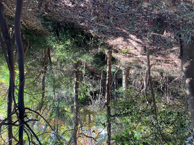 �����̗l�q(�ʐ^)