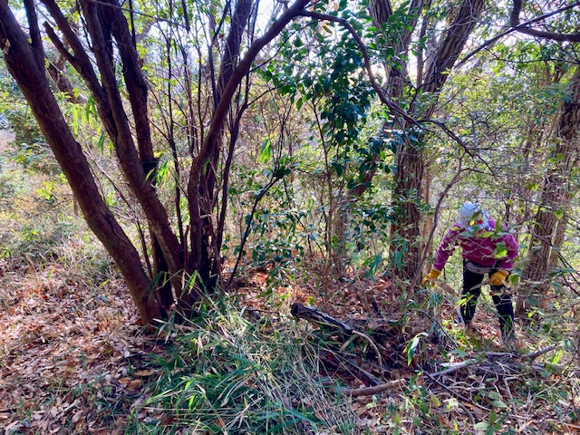 �����̗l�q(�ʐ^)