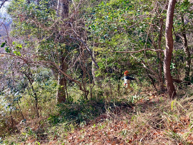 �����̗l�q(�ʐ^)