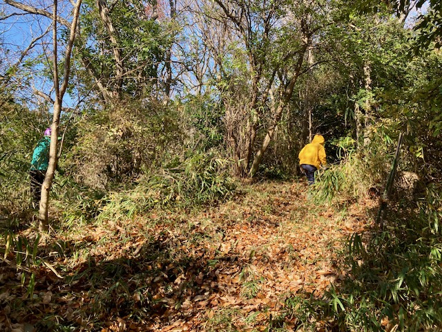 �����̗l�q(�ʐ^)