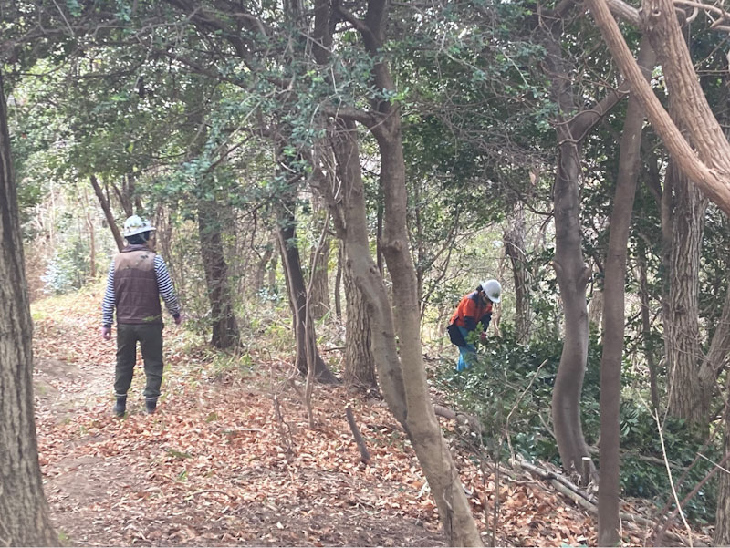 �����̗l�q(�ʐ^)