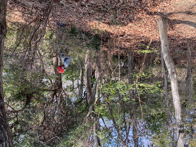 �����̗l�q(�ʐ^)