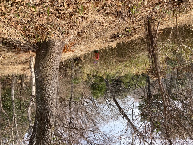 �����̗l�q(�ʐ^)