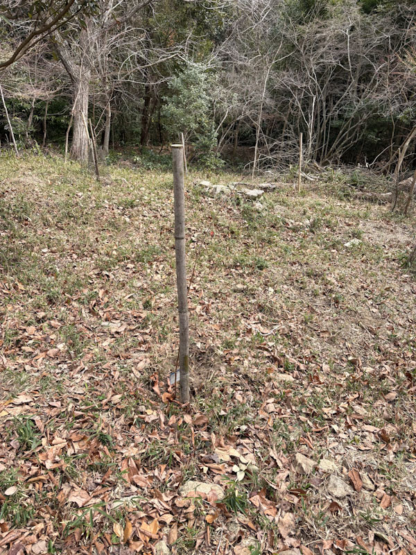 �����̗l�q(�ʐ^)