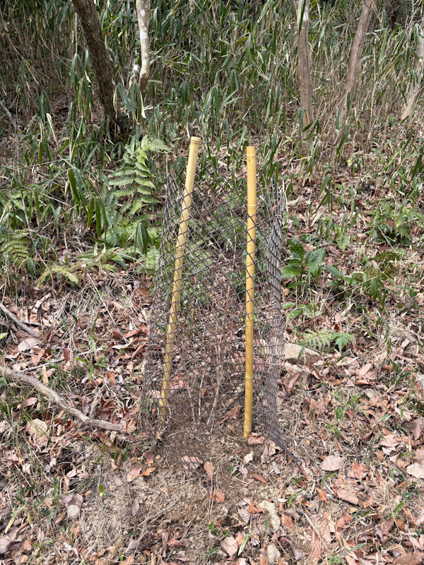 �����̗l�q(�ʐ^)