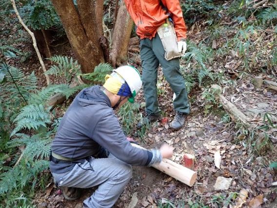 �����̗l�q(�ʐ^)