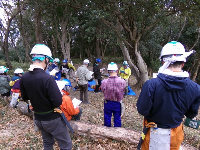 �����̗l�q(�ʐ^)