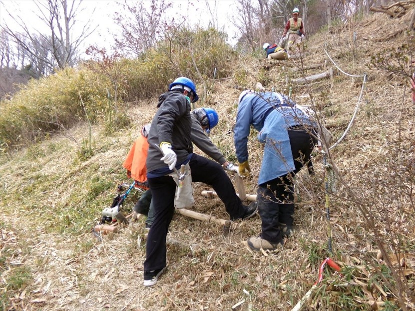 �����̗l�q(�ʐ^)