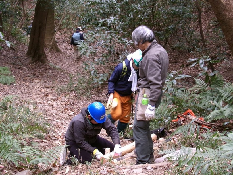 �����̗l�q(�ʐ^)