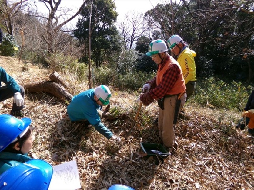 �����̗l�q(�ʐ^)