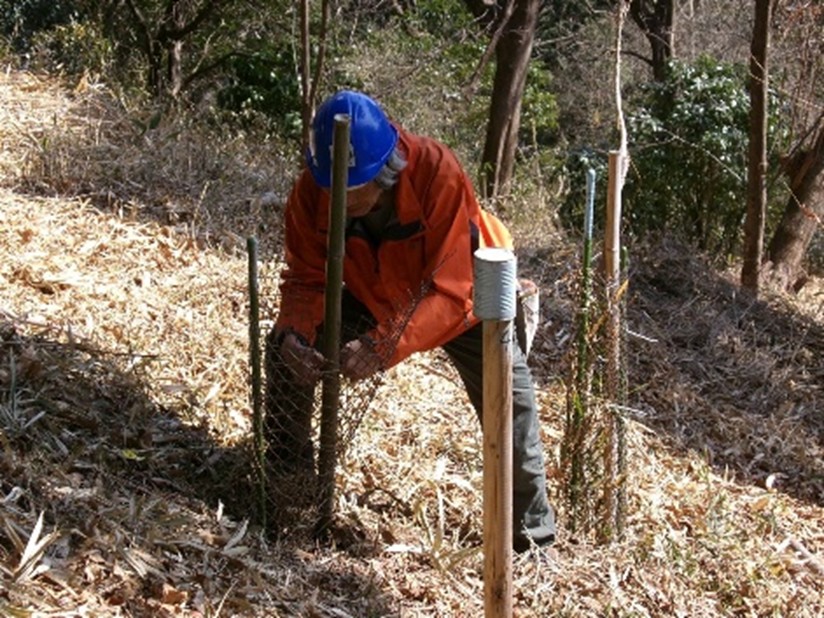 �����̗l�q(�ʐ^)