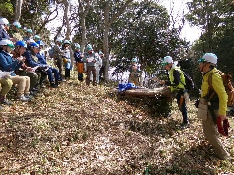 �����̗l�q(�ʐ^)