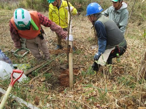 �����̗l�q(�ʐ^)