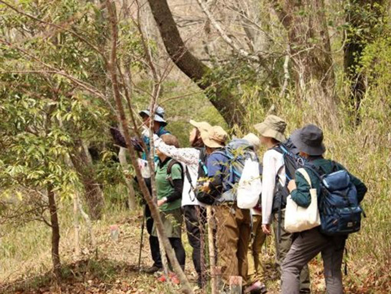 �����̗l�q(�ʐ^)