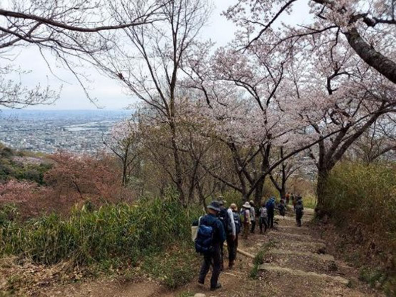 �����̗l�q(�ʐ^)