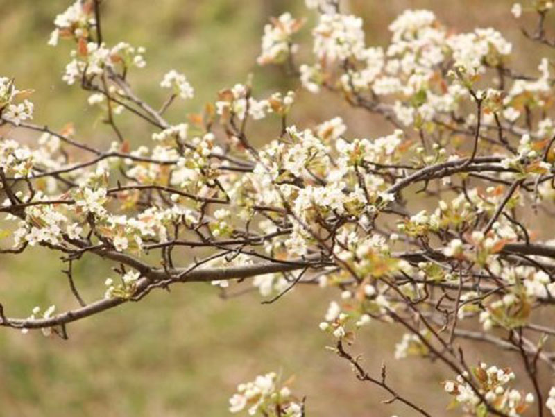 �����̗l�q(�ʐ^)