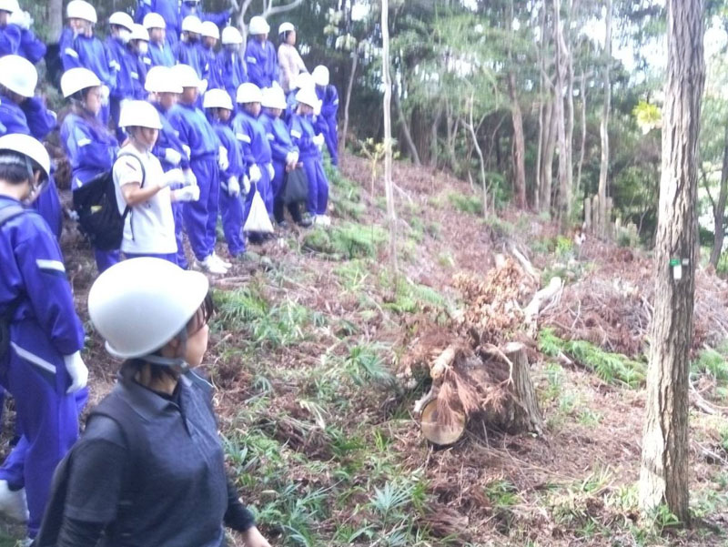 �����̗l�q(�ʐ^)