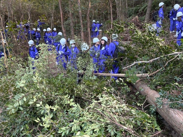 �����̗l�q(�ʐ^)