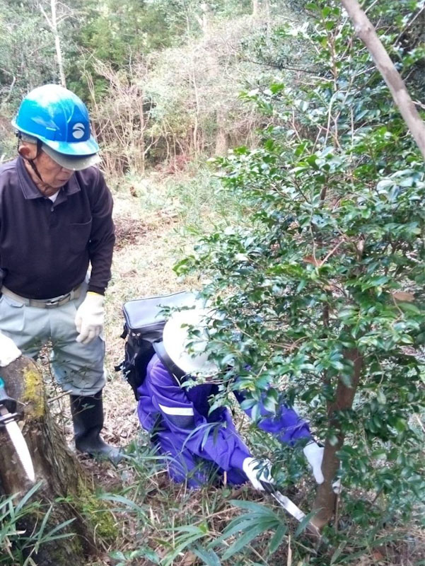 �����̗l�q(�ʐ^)