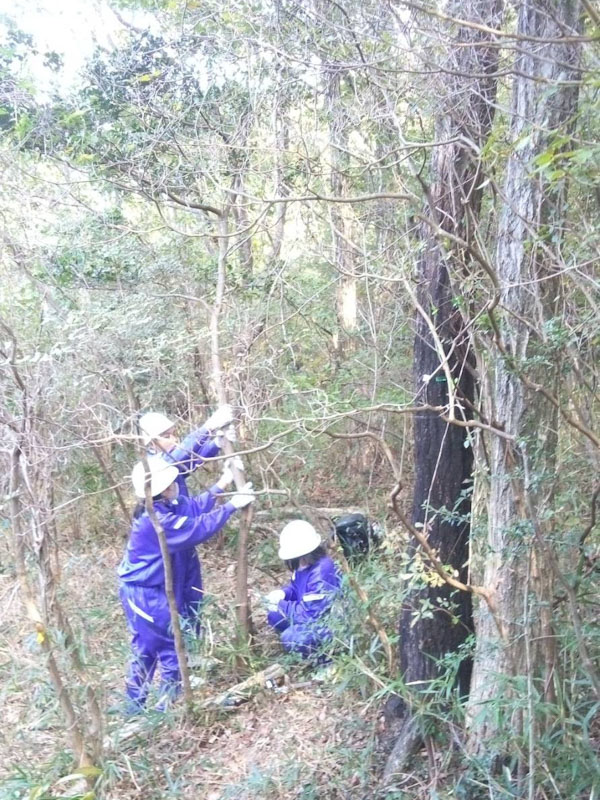 �����̗l�q(�ʐ^)