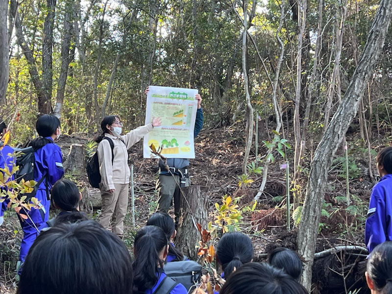 �����̗l�q(�ʐ^)