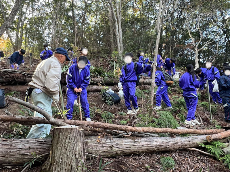 �����̗l�q(�ʐ^)