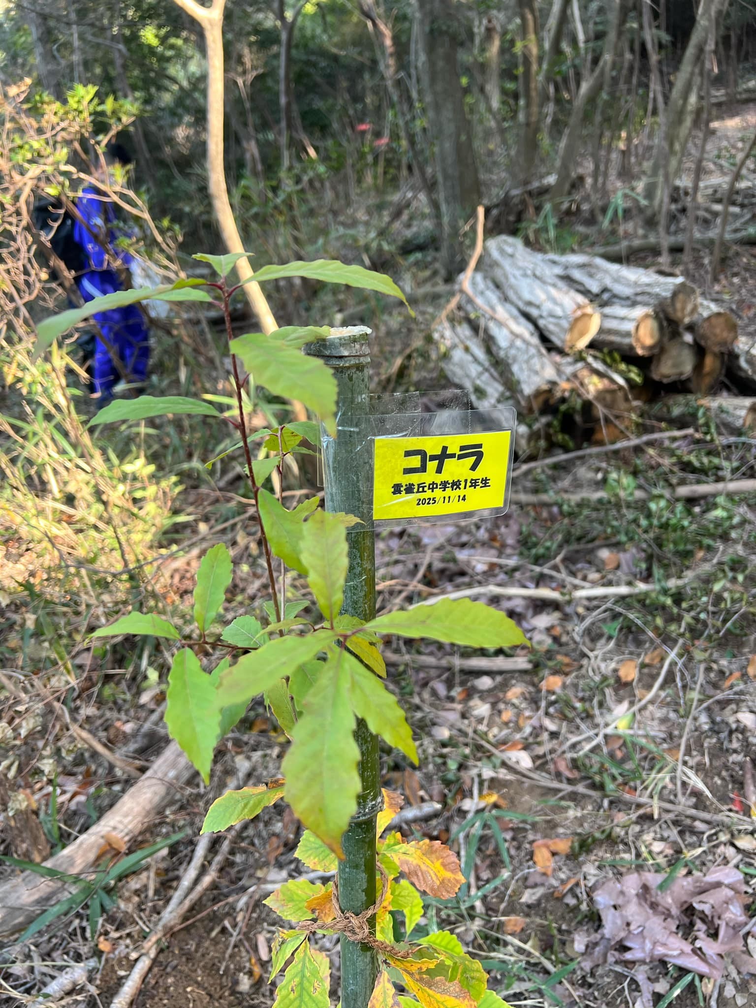 �����̗l�q(�ʐ^)