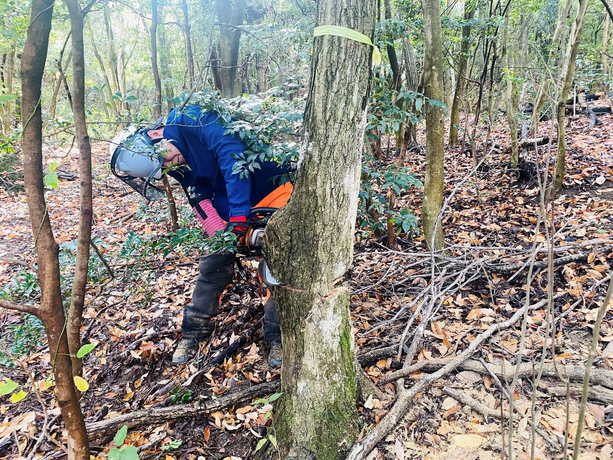 �����̗l�q(�ʐ^)