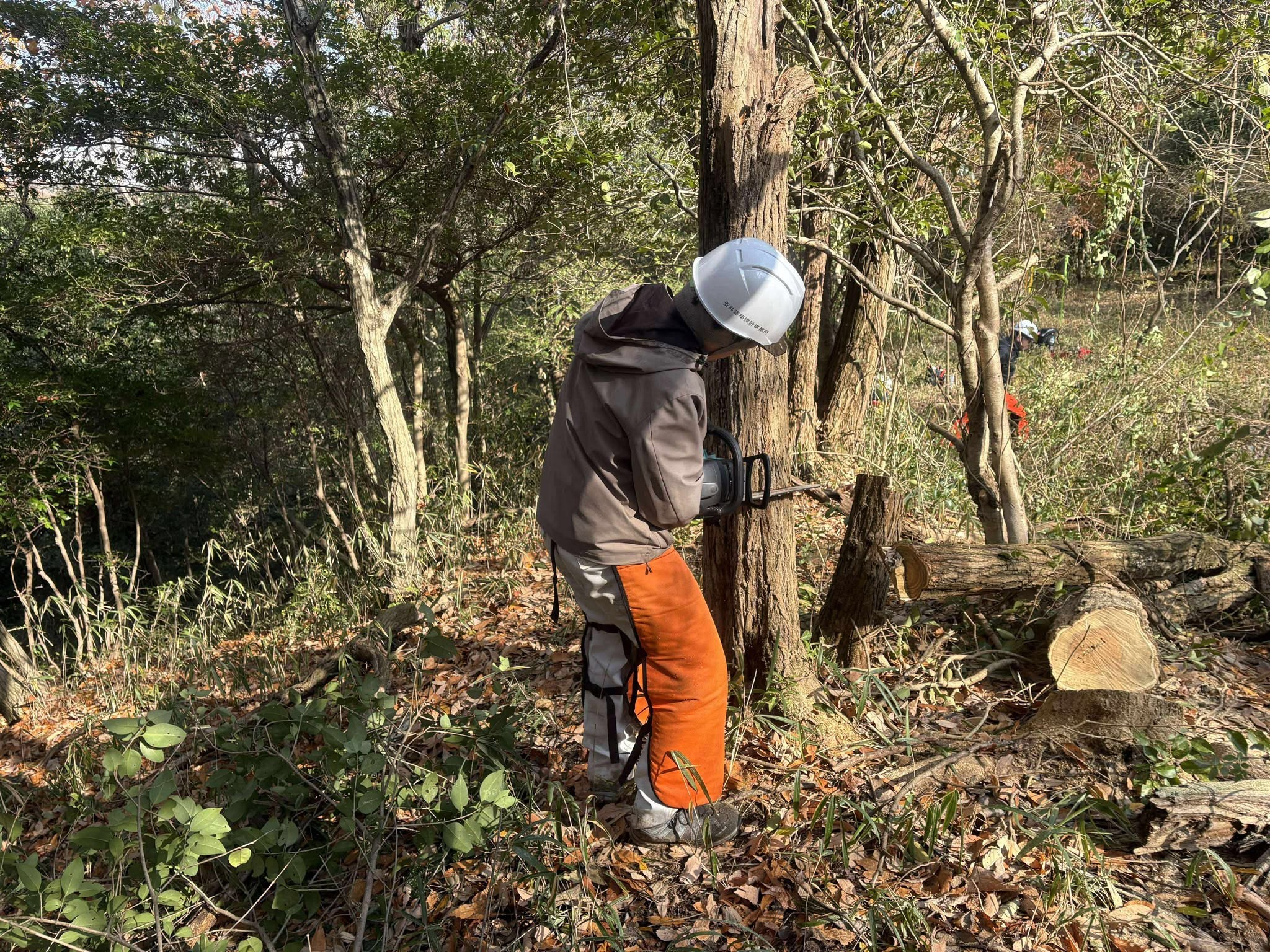 �����̗l�q(�ʐ^)