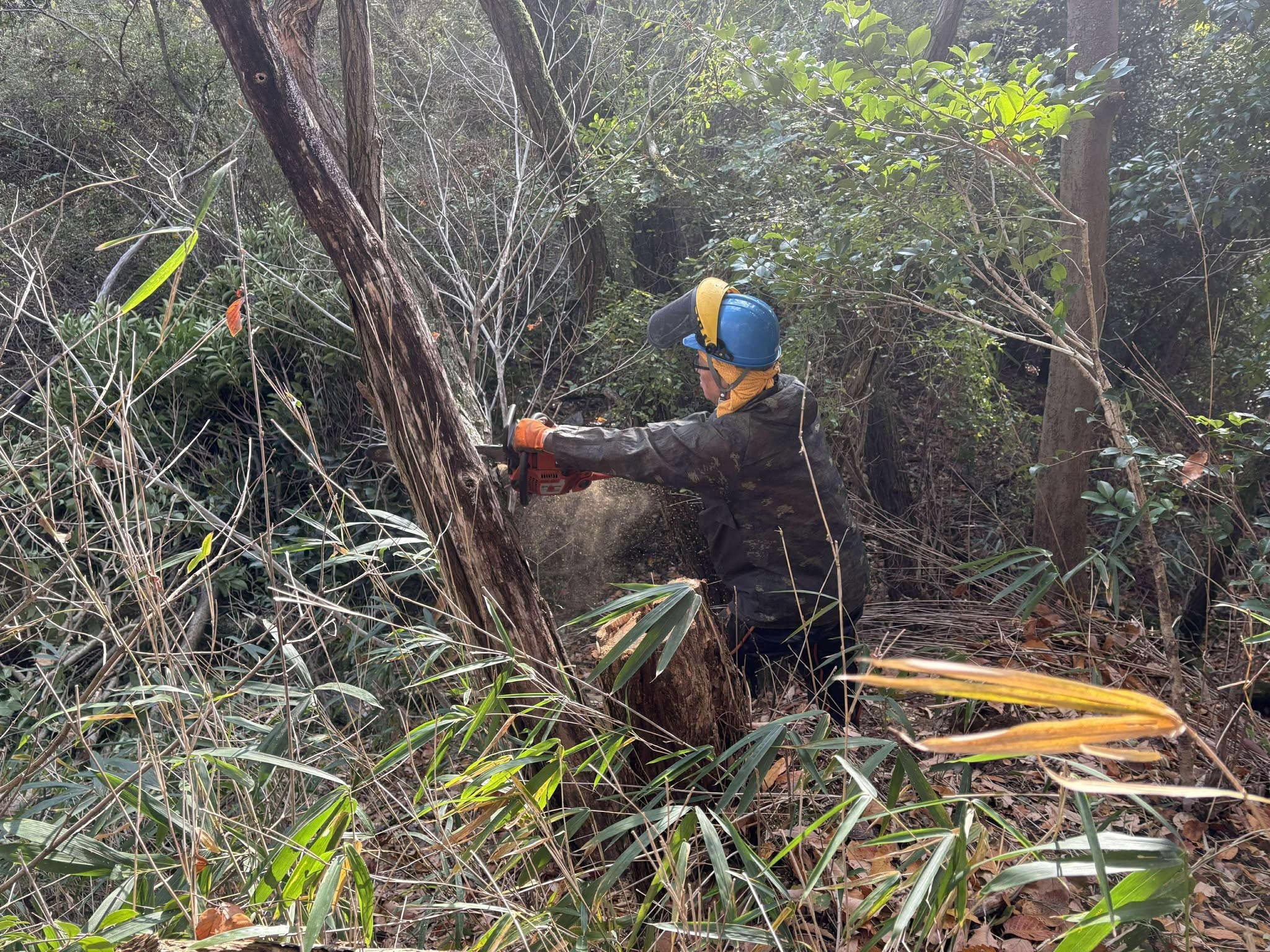 �����̗l�q(�ʐ^)