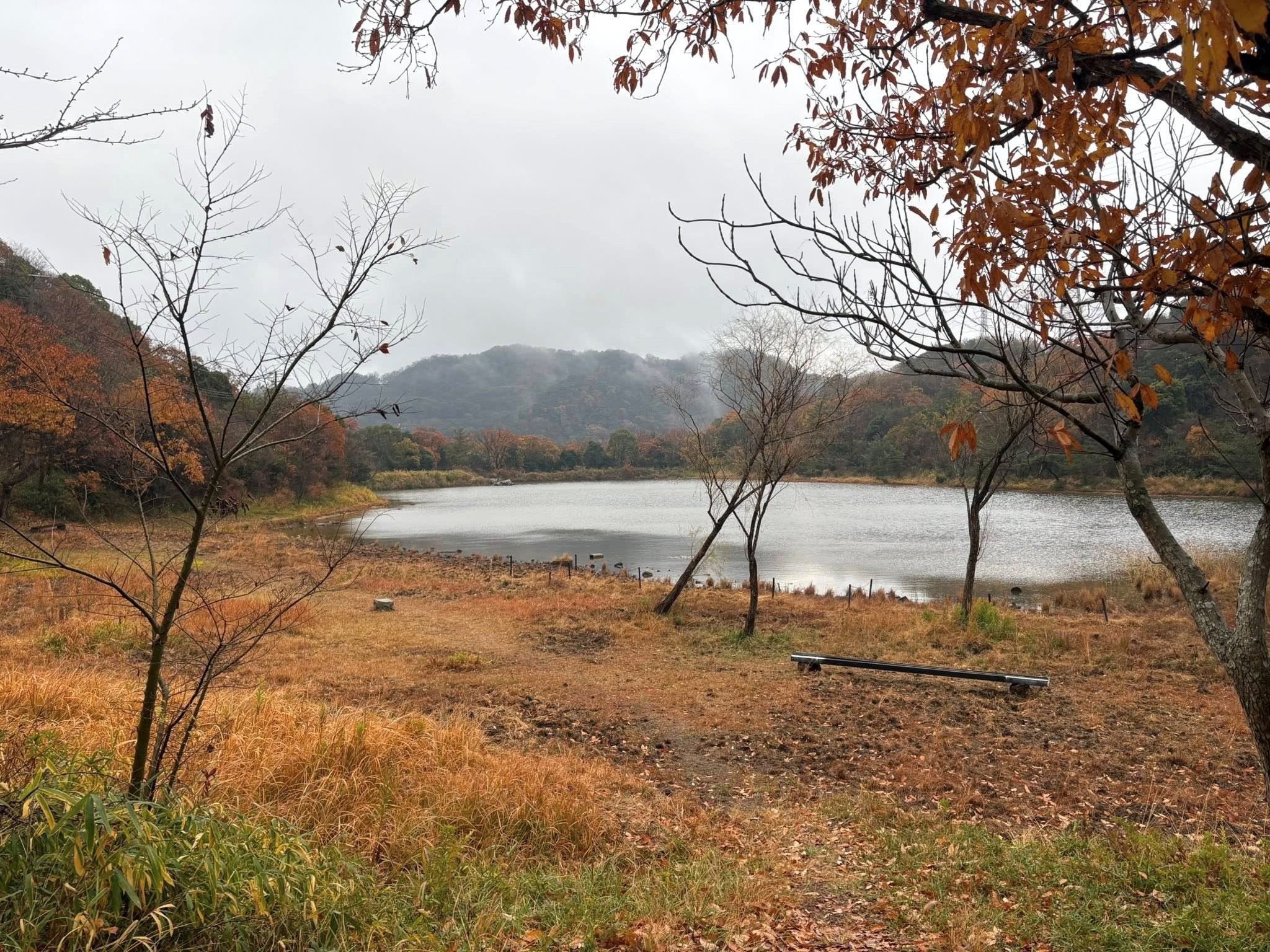 �����̗l�q(�ʐ^)