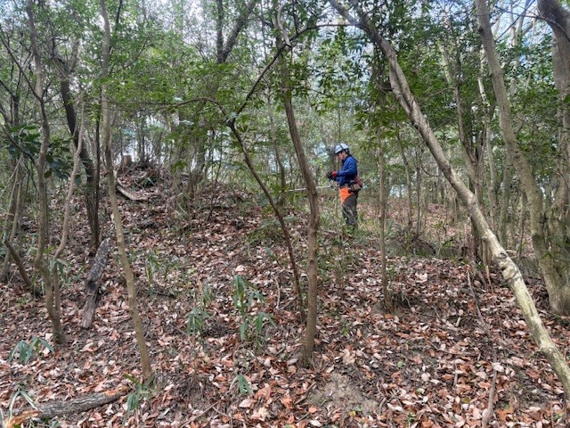 �����̗l�q(�ʐ^)