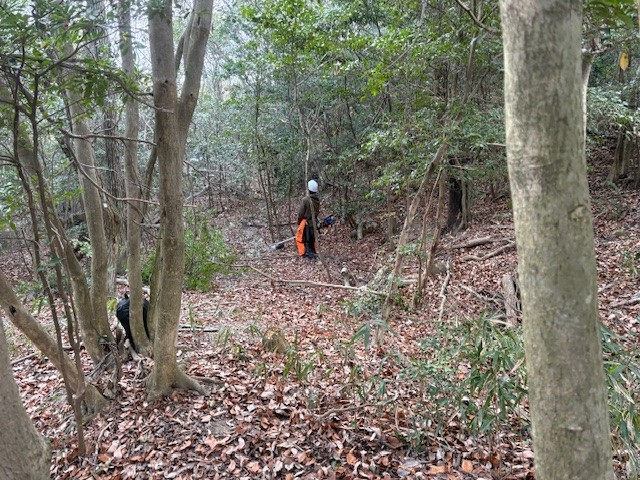 �����̗l�q(�ʐ^)