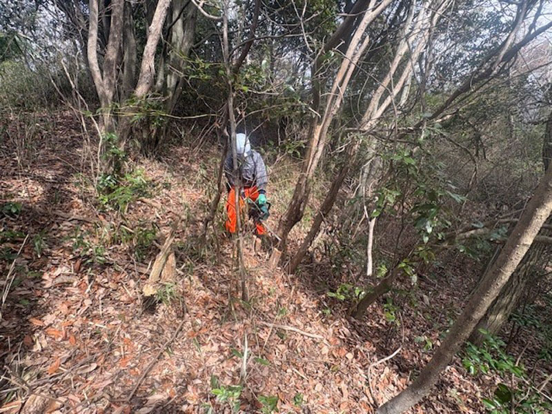 �����̗l�q(�ʐ^)