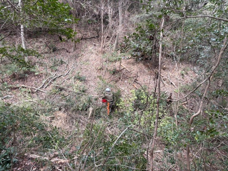 �����̗l�q(�ʐ^)