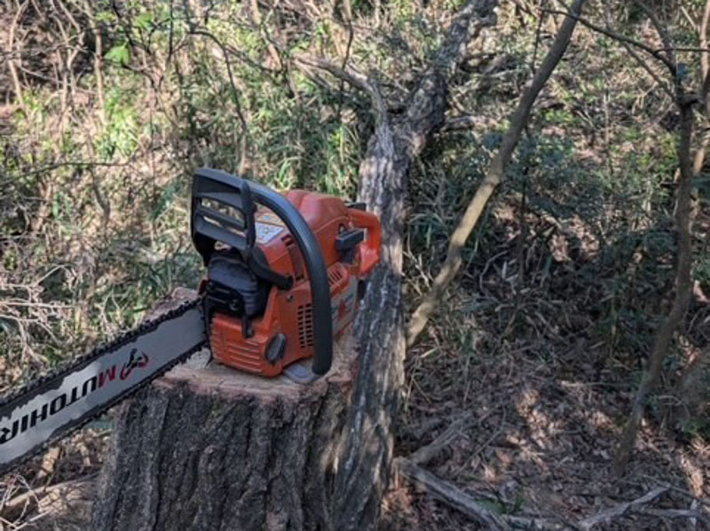 �����̗l�q(�ʐ^)