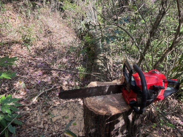 �����̗l�q(�ʐ^)