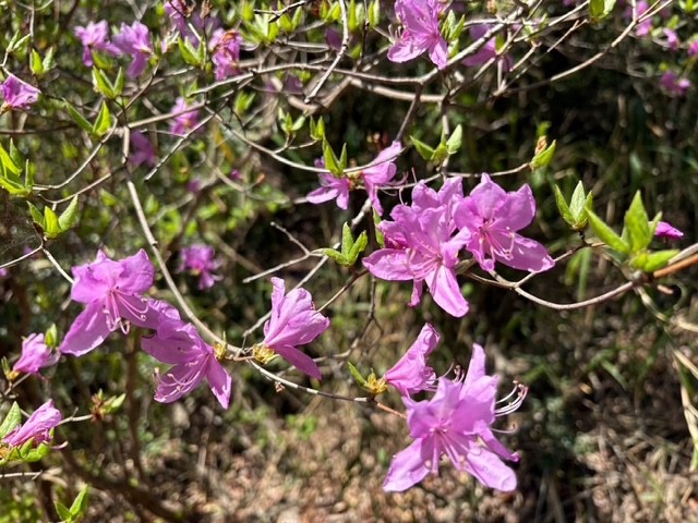 �����̗l�q(�ʐ^)