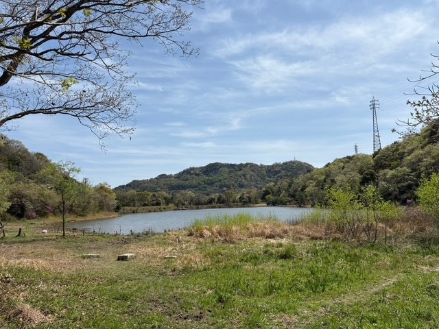 �����̗l�q(�ʐ^)