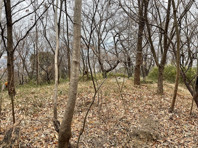 ̗lq(ʐ^)