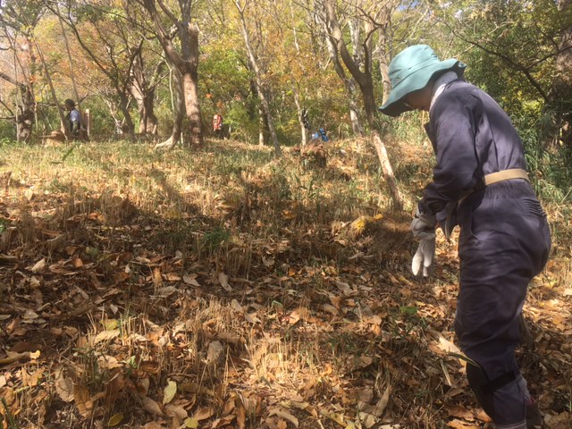 �����̗l�q(�ʐ^)