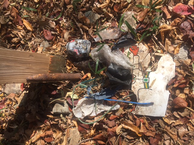 �����̗l�q(�ʐ^)