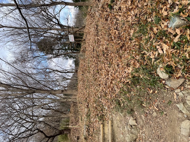 �����̗l�q(�ʐ^)