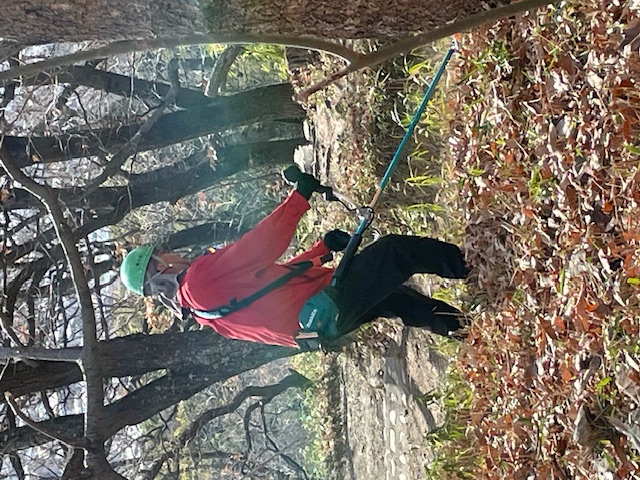 �����̗l�q(�ʐ^)