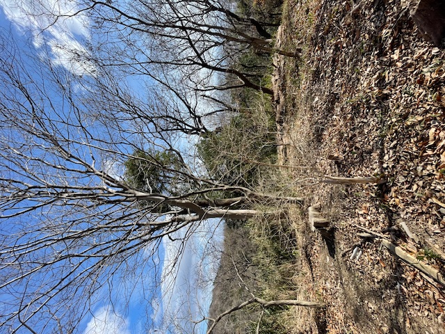 �����̗l�q(�ʐ^)