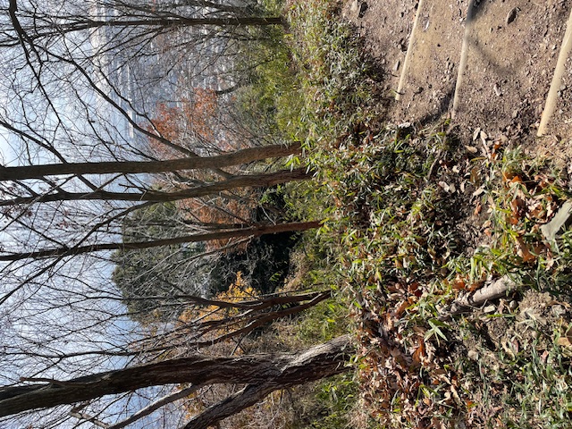 �����̗l�q(�ʐ^)