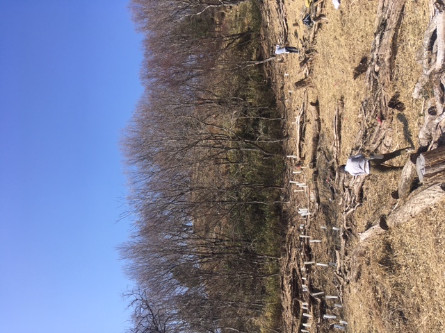 �����̗l�q(�ʐ^)