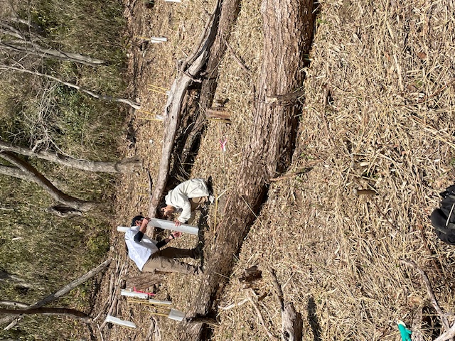 �����̗l�q(�ʐ^)